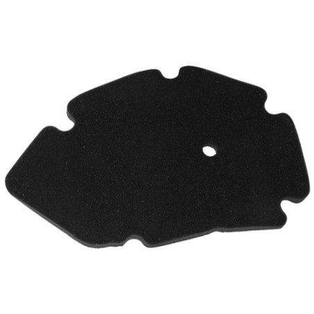 MIW (MEIWA) oro filtras PIAGGIO X9 125 01-03, GILERA DNA 01-03, RUNER 125 00-01 (HFA5213DS)