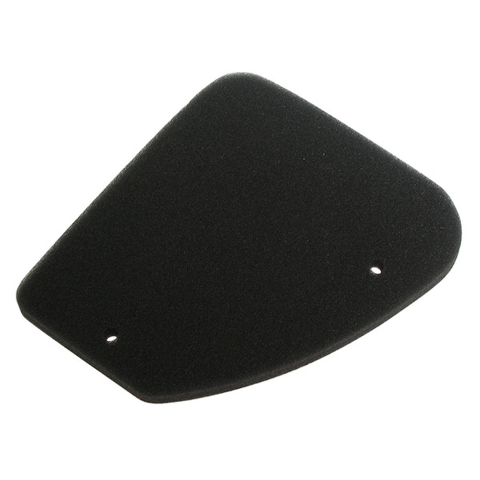 MIW (MEIWA) oro filtras PEUGEOT BUXY/ELYSEO/ELYSTAR/NEW VIVACITY/ZENITH 50CCM (HFA5301DS) (20)