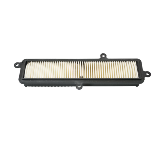 BIKETEC oro filtras SUZUKI UH 125/200 BURGMAN '07-19, (OEM 13780-03H00-000) (HFA3103)