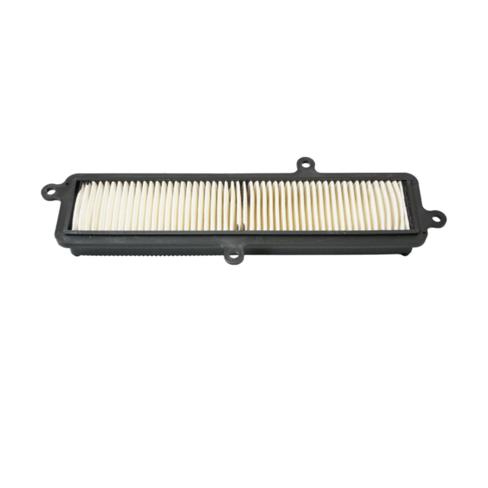 BIKETEC oro filtras SUZUKI UH 125/200 BURGMAN '07-19, (OEM 13780-03H00-000) (HFA3103)
