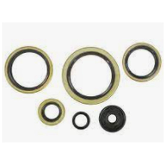 WINDEROSA (VERTEX) engine gasket set KTM EXC 300 94-03, EXC 360 96-97, EXC 380 98-02, MXC 300 94-03, MXC 360 96-97, M