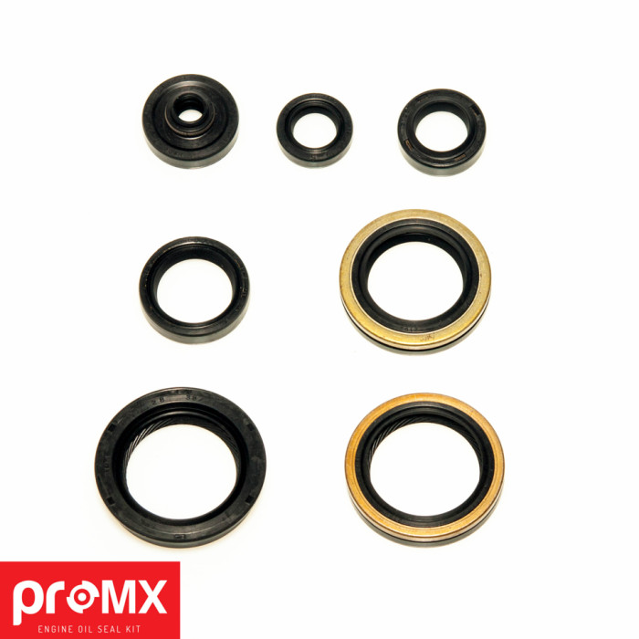 PROMX the engine displacement S RMUKI RMZ 250 (06) (7vnt.)