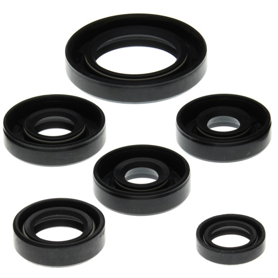 WINDEROSA (VERTEX) engine gasket set CAN-AM DS650 00-07