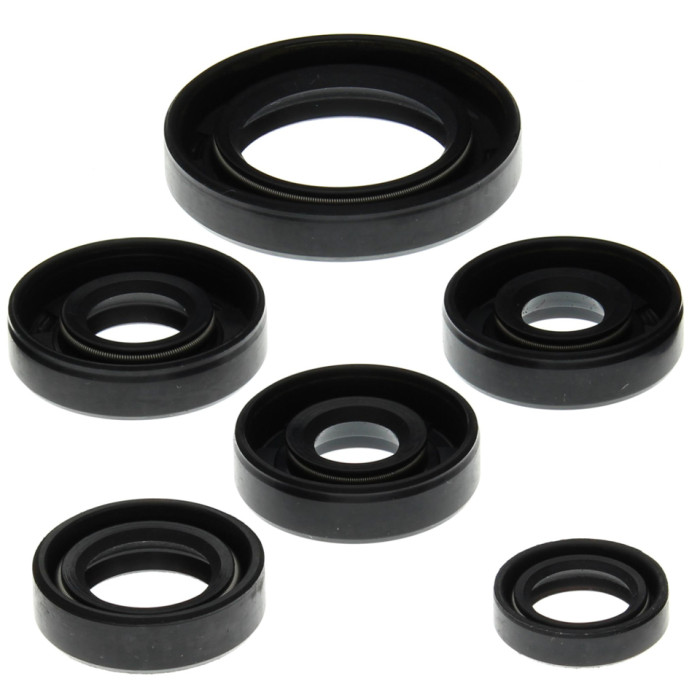 WINDEROSA (VERTEX) engine gasket set CAN-AM DS650 00-07