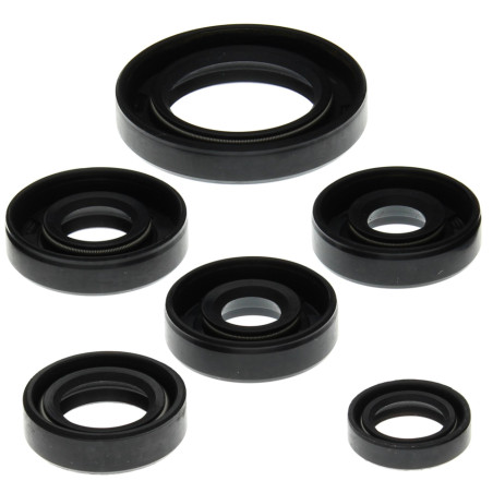 WINDEROSA (VERTEX) engine gasket set CAN-AM DS650 00-07