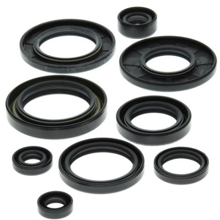 WINDEROSA (VERTEX) engine gasket set SUZUKI LT-250R 87-92