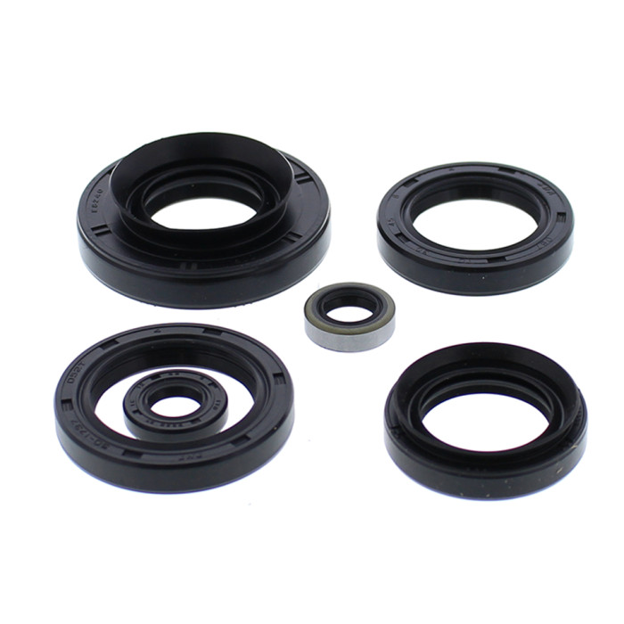 WINDEROSA (VERTEX) of the engine KAWASAKI FOR THE PURPOSES OF THIS REGULATION, THE FOLLOWING DEFINITIONS APPLY: