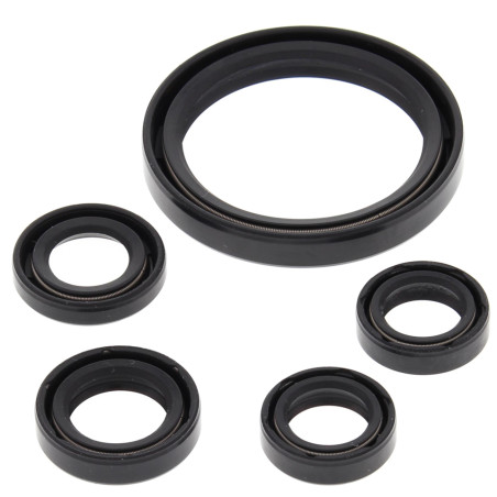 WINDEROSA (VERTEXThe engine displacement of the YAM4 YFZ450R 09-19 and YFZ450X 10-11