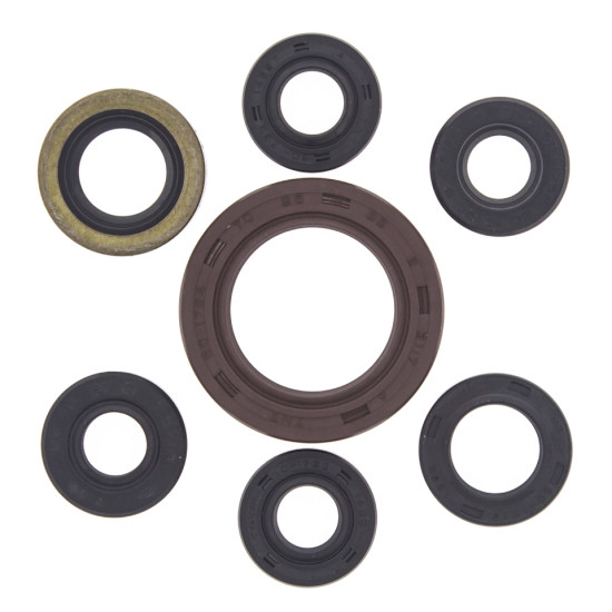 WINDEROSA (VERTEX) engine gasket set SUZUKI LTZ 400 '03-'14, ARCTIC CAT 400 DVX 04-08