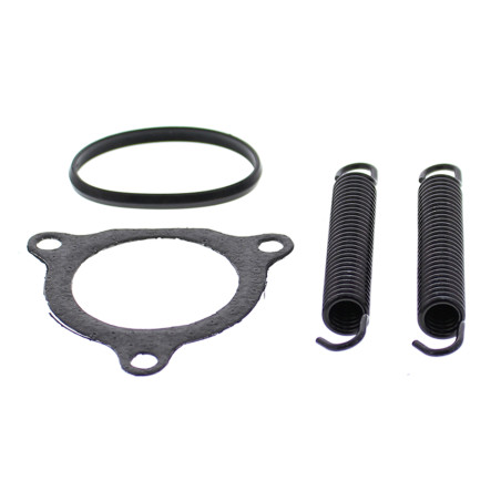 WINDEROSA (VERTEX) springs for muffler mounting HONDA CR250 '02-'04 (set with oil seals)