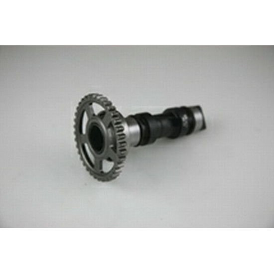 HOT CAMS camshaft HONDA CRF 250 R/X (04-09) STAGE1