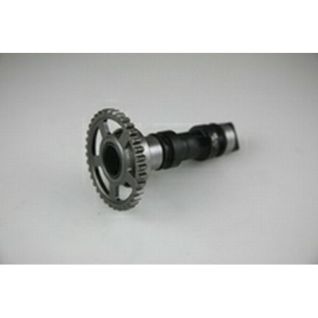 HOT CAMS paskirstymo velenėlis HONDA CRF 250 R/X (04-09) STAGE1