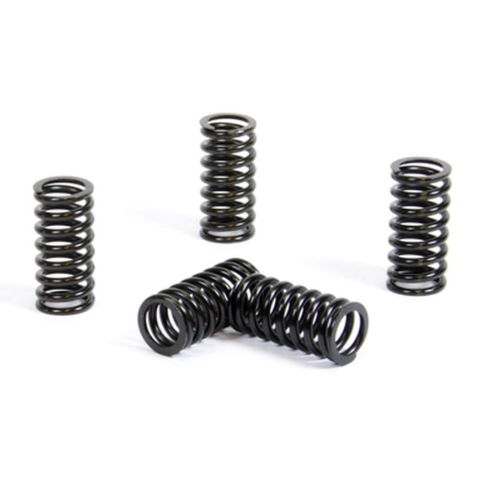 PROX clutch springs SUZUKI RM 125 '01-11 (EBS091)
