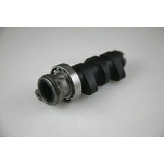 HOT CAMS camshaft HONDA CRF 450 (02-05)