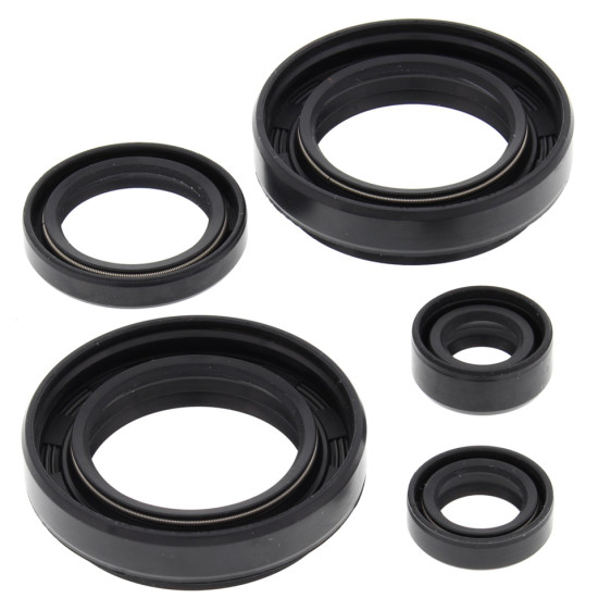 WINDEROSA (VERTEX) engine gasket set ARCTIC CAT 400 4X4 W/MT '03-'04, LTF400F 4WD/2WD KING QUAD '08-'12