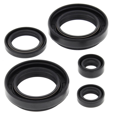 WINDEROSA (VERTEX) engine gasket set ARCTIC CAT 400 4X4 W/MT '03-'04, LTF400F 4WD/2WD KING QUAD '08-'12