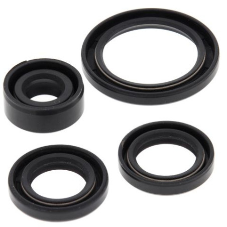WINDEROSA (VERTEX) Engine intermediate set HONDA TRX90 06-21