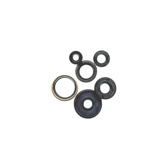 WINDEROSA (VERTEX) engine gasket set SUZUKI RM 250 '94-'95