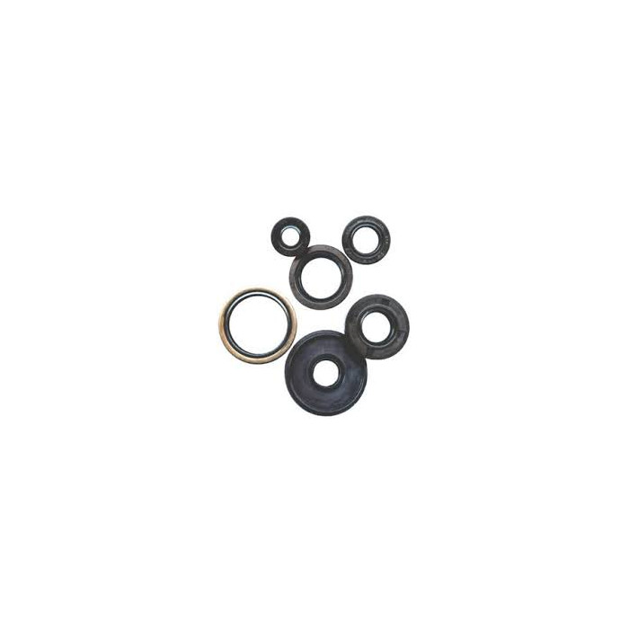 WINDEROSA (VERTEX) engine gasket set SUZUKI RM 250 '94-'95