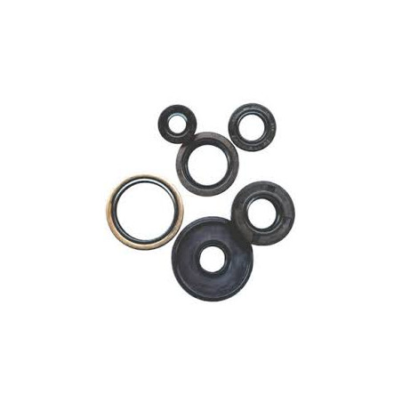 WINDEROSA (VERTEX) engine gasket set SUZUKI RM 250 '94-'95