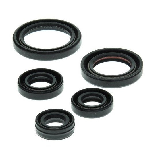 WINDEROSA (VERTEX) engine gasket set YAMAHA YFM50 RAPTOR 04-08