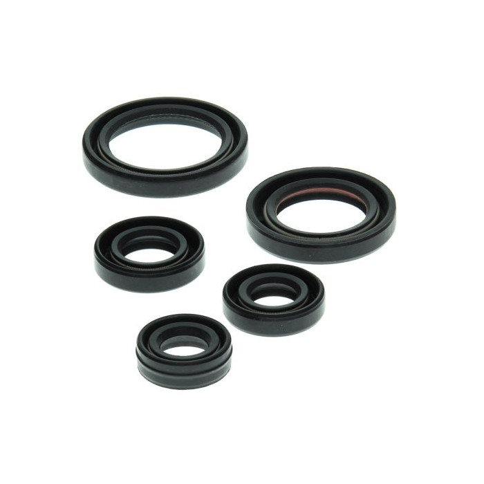 WINDEROSA (VERTEX) variklio tarpinių komplektas YAMAHA YFM50 RAPTOR 04-08