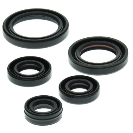 WINDEROSA (VERTEX) variklio tarpinių komplektas YAMAHA YFM50 RAPTOR 04-08