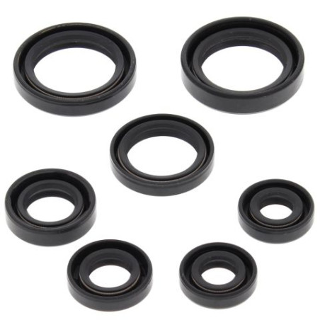 WINDEROSA (VERTEX) variklio tarpinių komplektas HONDA TRX350FE 00-06, TRX350FM FOURTRAX RANCHER 00-06, TRX350TE 00-06, TRX350TM