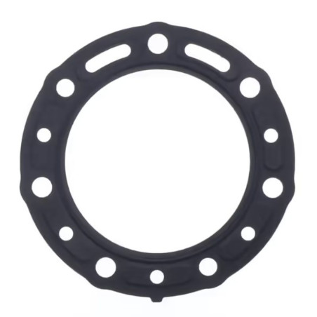 ATHENA head gasket (head) BETA REV 250 '00-'08 (OEM:1667204000)