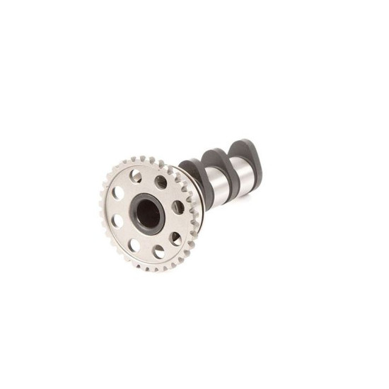HOT CAMS camshaft YAMAHA YZ 450F (03-09) intake
