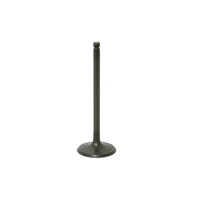 BRONCO intake valve POLARIS 300/325/330 02-13 steel (35.95X5.95X101.03mm)(OEM:3085778)