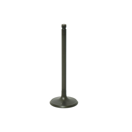 BRONCO įsiurbimo vožtuvas POLARIS 300/325/330 02-13 plieninis (35,95X5,95X101,03mm)(OEM:3085778)