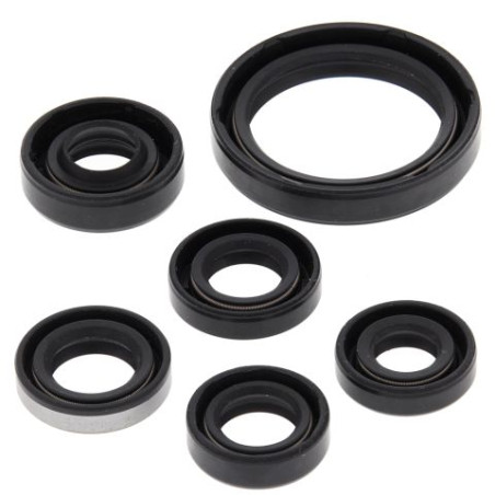 WINDEROSA (VERTEX) variklio tarpinių komplektas KAWASAKI KFX450R 08-14