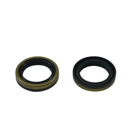 ALL BALLS crankshaft oil seals BETA EVO 2T 125 '09-'21, EVO 2T 200 '09-'21, EVO 2T 250 '09-'21, EVO 2T 290 '09-'11, EVO