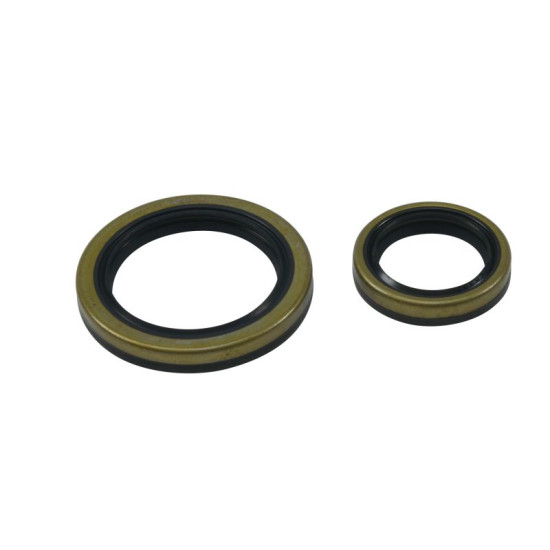 ALL BALLS crankshaft oil seals BETA EVO 4T 250 '09-'18, EVO 4T 300 '09-'21