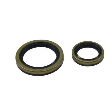 ALL BALLS crankshaft oil seals BETA EVO 4T 250 '09-'18, EVO 4T 300 '09-'21