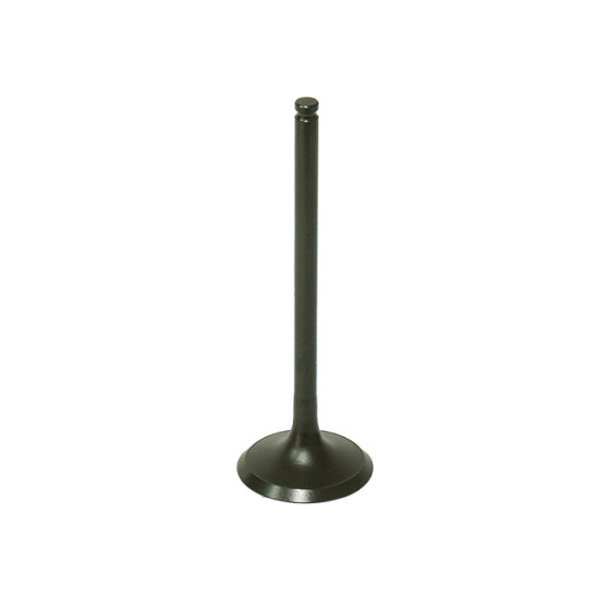 BRONCO išmetimo vožtuvas POLARIS 570 12-16, RZR900 11-14 plieninis (32,4X5,45X96,5mm)(kepurės gylis 1,5mm)(OEM:3022349)