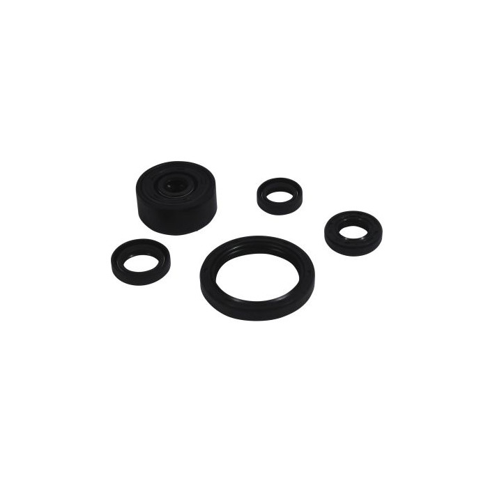 WINDEROSA (VERTEX) Engine Intermediate Kit Yamaha Wr 250r Dual Sport '18 -'22