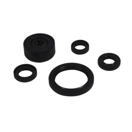 WINDEROSA (VERTEX) Engine Intermediate Kit Yamaha Wr 250r Dual Sport '18 -'22