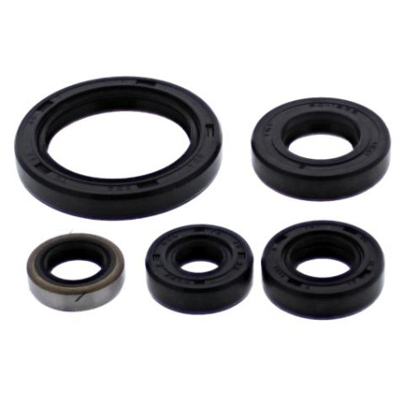 WINDEROSA (VERTEX) Engine intermediate set KAWASAKI Kl 650e (PRC) '18