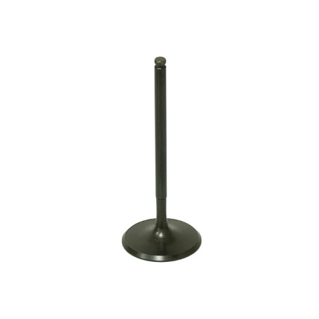 BRONCO intake valve POLARIS 570 12-16, RZR900 11-14, RZR1000 14-16 steel (37.6X5.47X95.9mm) (OEM:3022134)