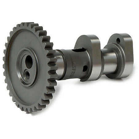 HOT CAMS paskirstymo velenėlis (išmetimo) KTM SX-F 250 '13-'15 (SX-F250)