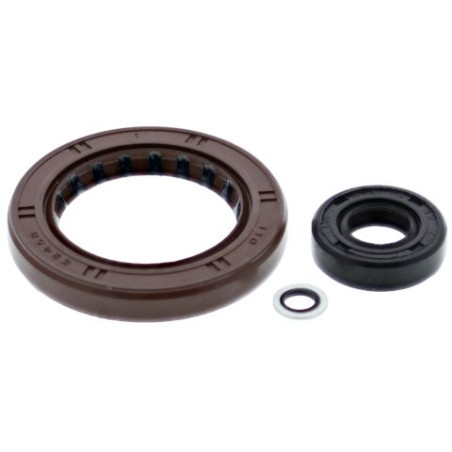 WINDEROSA (VERTEX) engine gasket set POLARIS SPORTSMAN 550 '11-14,