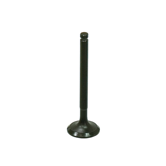 BRONCO exhaust valve POLARIS 90 OUTLAW/SPORTSMAN '07-'17, OUTLAW 110 '16-'18, SPORTSMAN 110 '16-'18, YAMAHA RAPTOR 90 '16-21