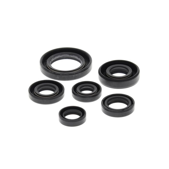 WINDEROSA (VERTEX) variklio tarpinių komplektas HONDA TRX300 EX 93-08, TRX300 X 09