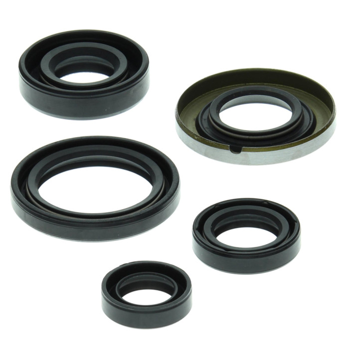 WINDEROSA (VERTEX) Engine intermediate set HONDA TRX400 ex 99-04
