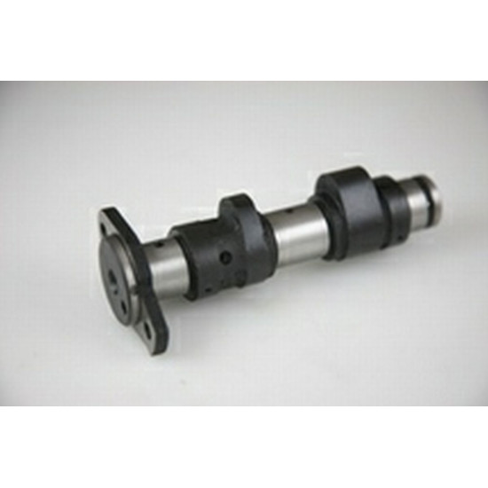 HOT CAMS camshaft YAMAHA YFM 660