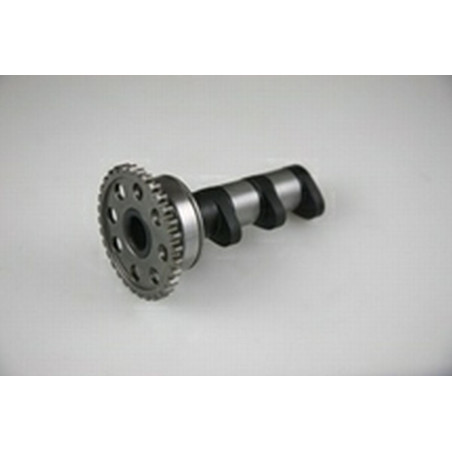 HOT CAMS paskirstymo velenėlis YAMAHA YZF 450 06-09,  WRF 450 03-15, YFZ 450 04-09 įsiurbimo