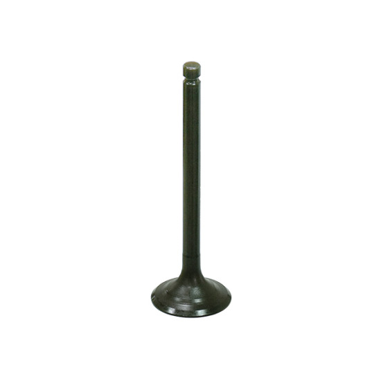BRONCO exhaust valve YAMAHA YFM350 BIG BEAR '87-'99 steel (31.94X6.96X100.52mm) (OEM:3Y1-12111-01-00)