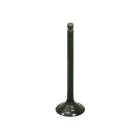 BRONCO exhaust valve YAMAHA YFM350 BIG BEAR '87-'99 steel (31.94X6.96X100.52mm) (OEM:3Y1-12111-01-00)